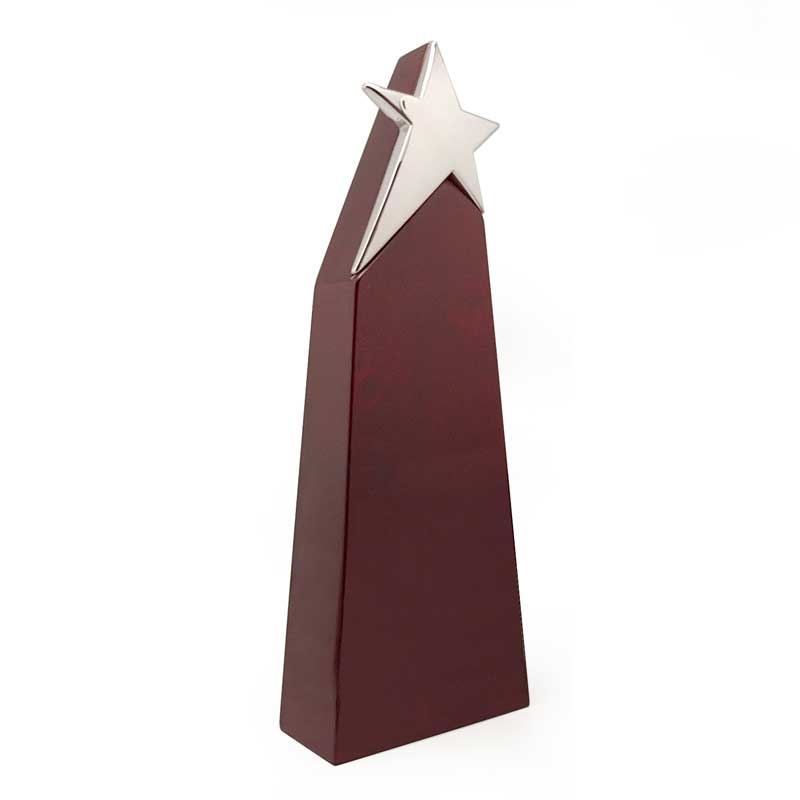 Big Star Wooden Trophy