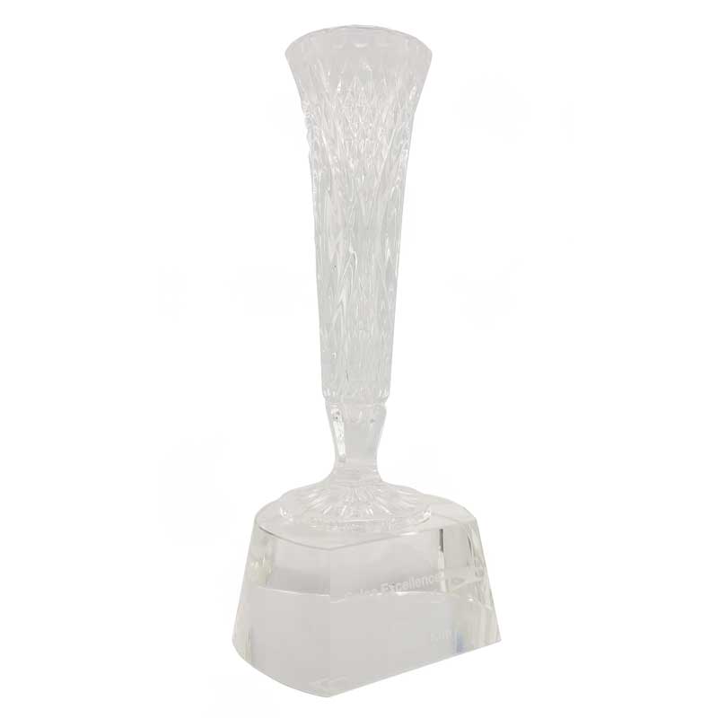 Crystal Cup Trophy